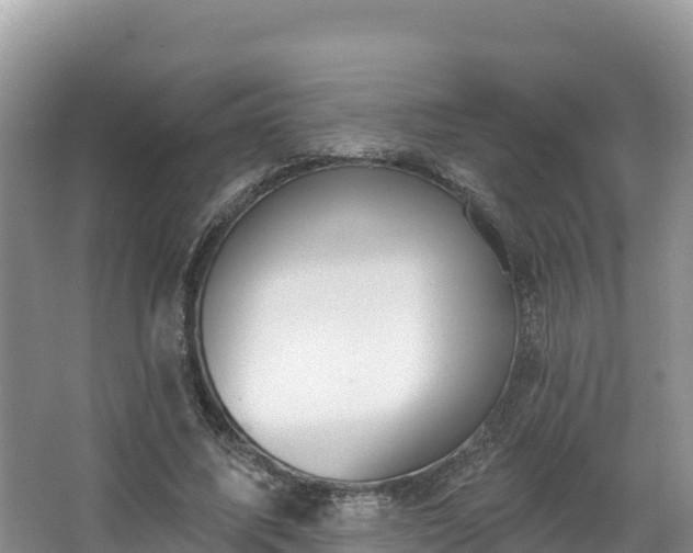 X0000067940587200604171503