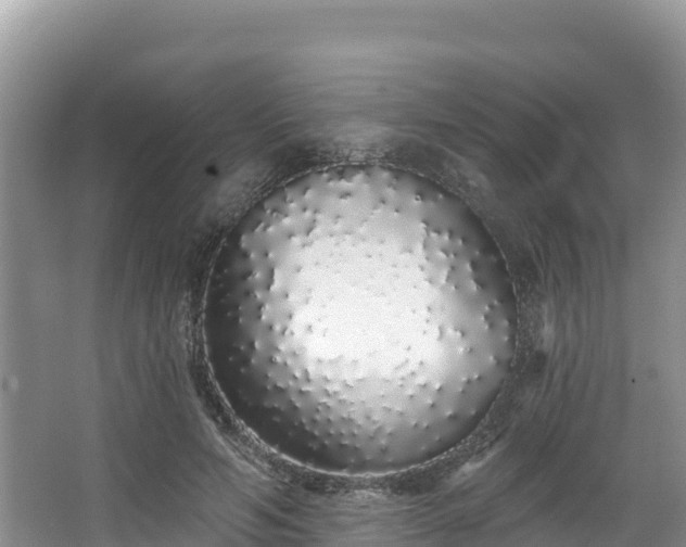 X0000067940594200604171502