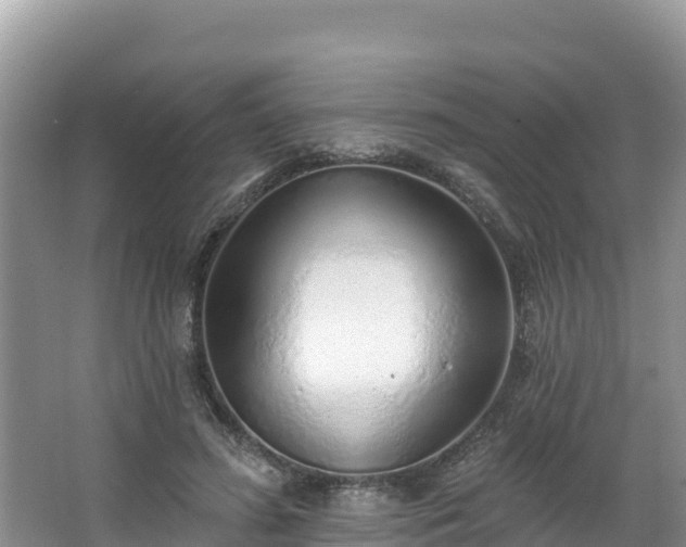 X0000067940596200604171502