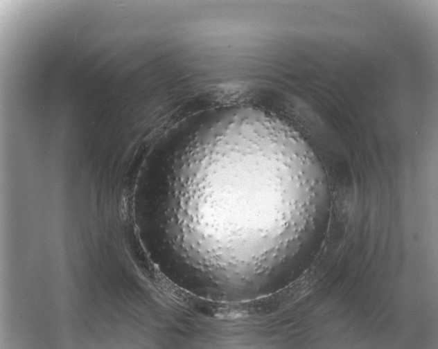 X0000067940602200604171502