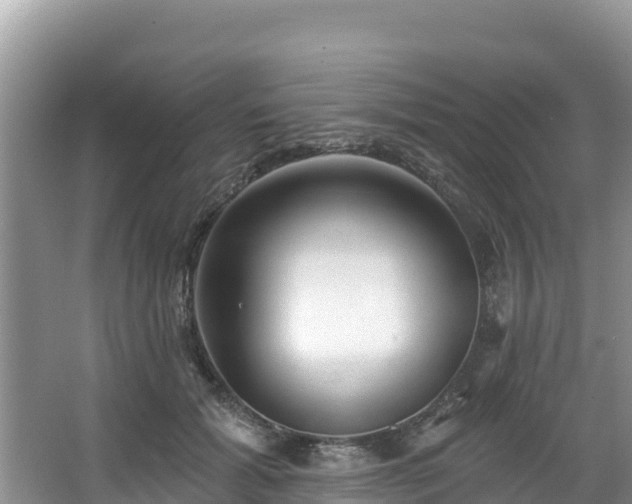 X0000067940605200604171502