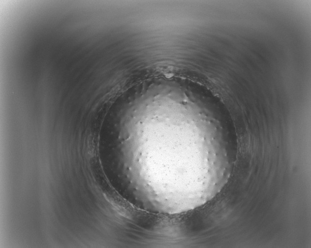 X0000067940606200604171502