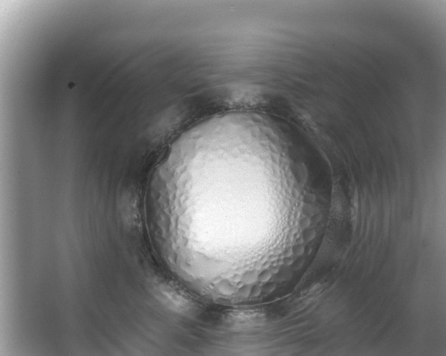 X0000067940619200604171502