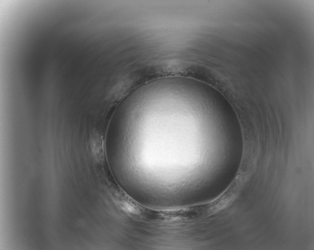 X0000067940624200604171502