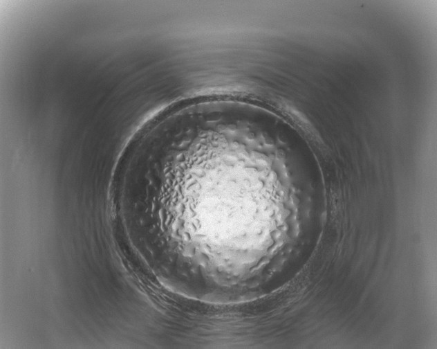 X0000067940628200604171501