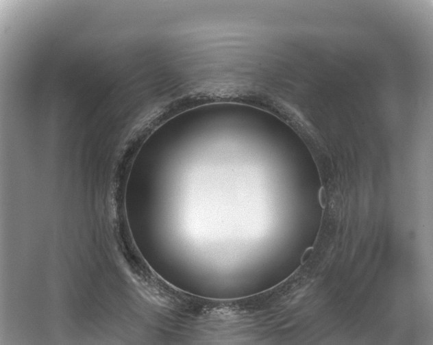 X0000067940635200604171501