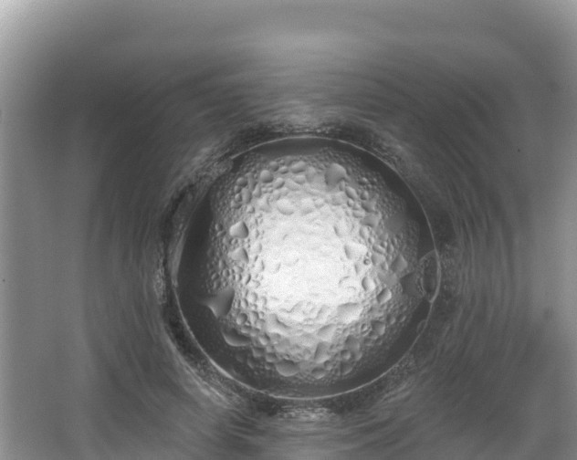 X0000067940642200604171501