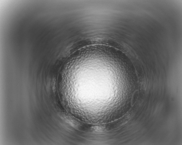 X0000067940660200604171502