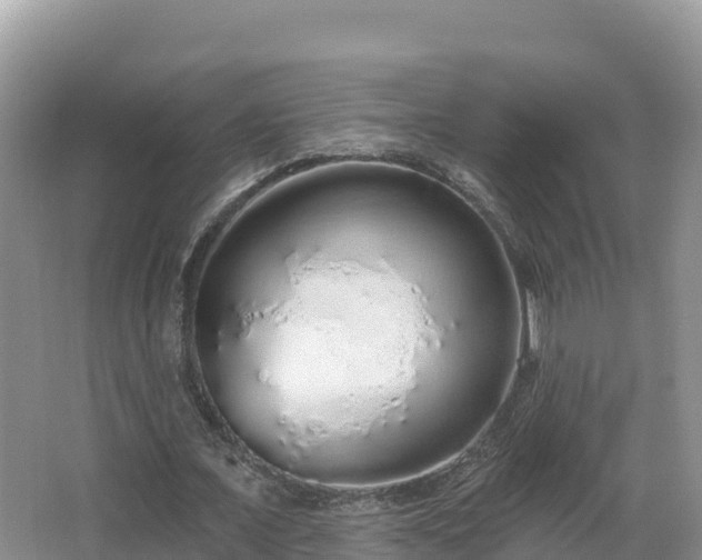 X0000067940675200604171501