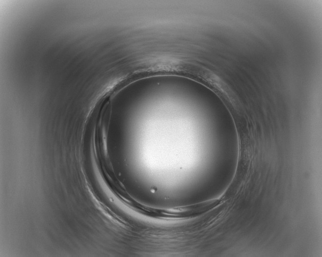 X0000067940677200604171501