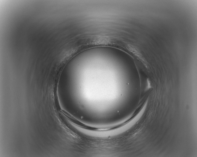 X0000067940681200604171501