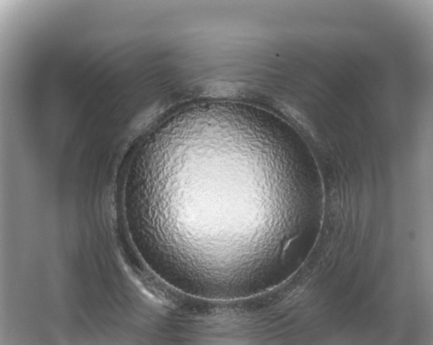 X0000067940682200604171501