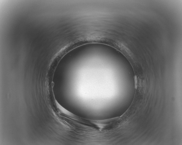 X0000067940684200604171501