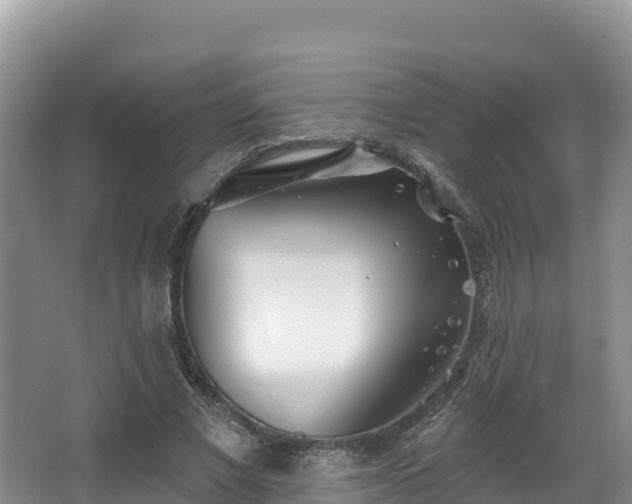 X0000067940685200604171501
