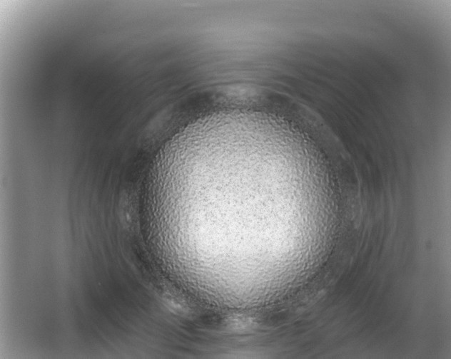 X0000067940701200604171501