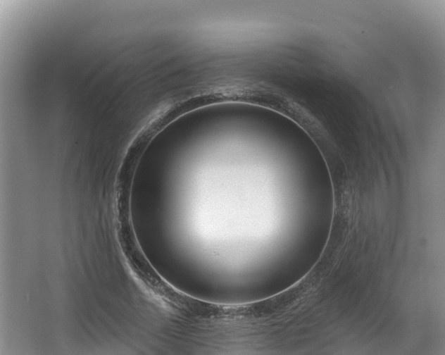 X0000067940730200604171500