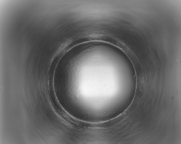 X0000067940734200604171500