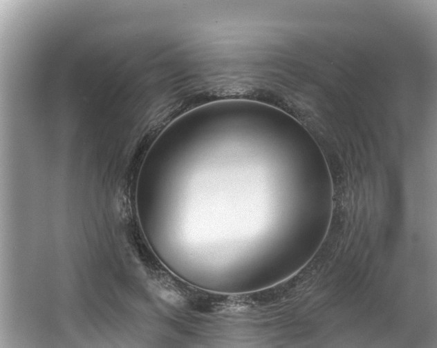 X0000067940743200604171500