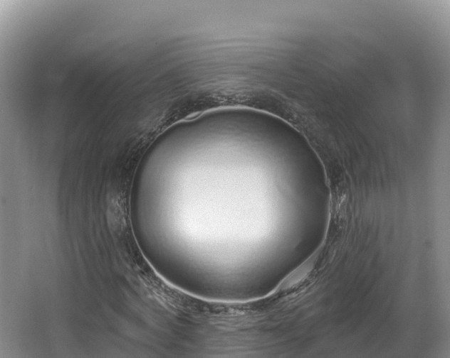 X0000067940772200604171459