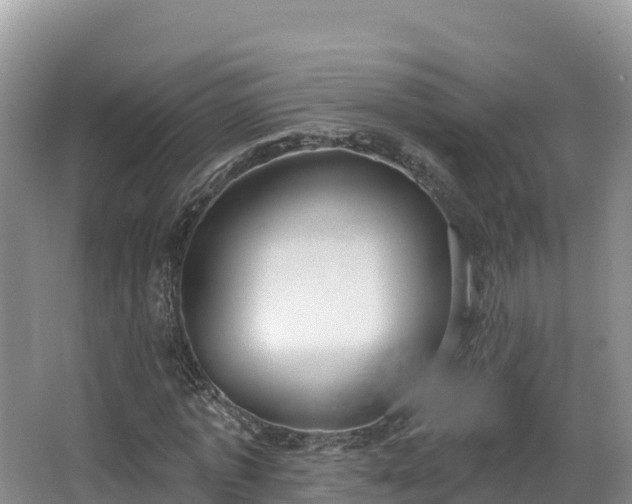 X0000067940773200604171459