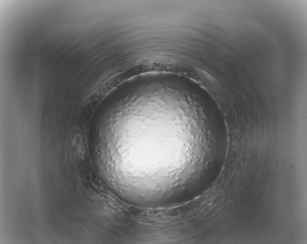 X0000067940774200604171459