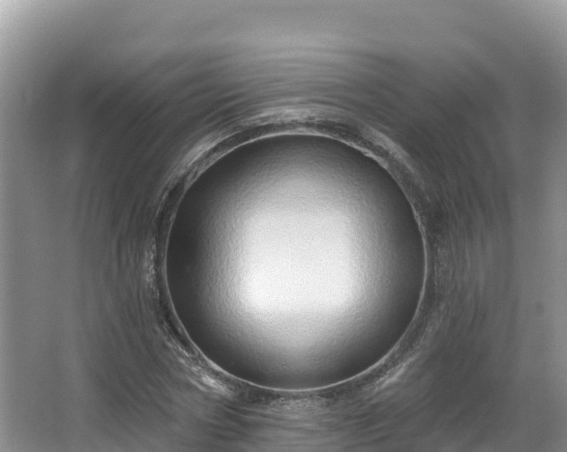 X0000067940778200604171459