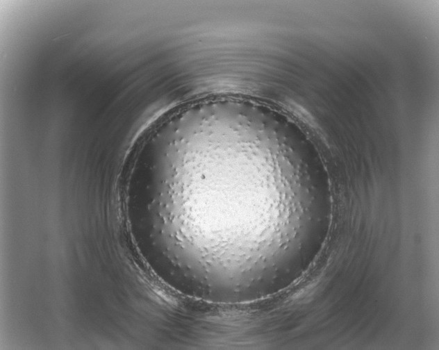 X0000067940782200604171459