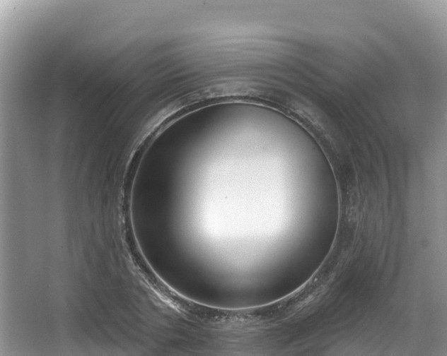 X0000067940786200604171459