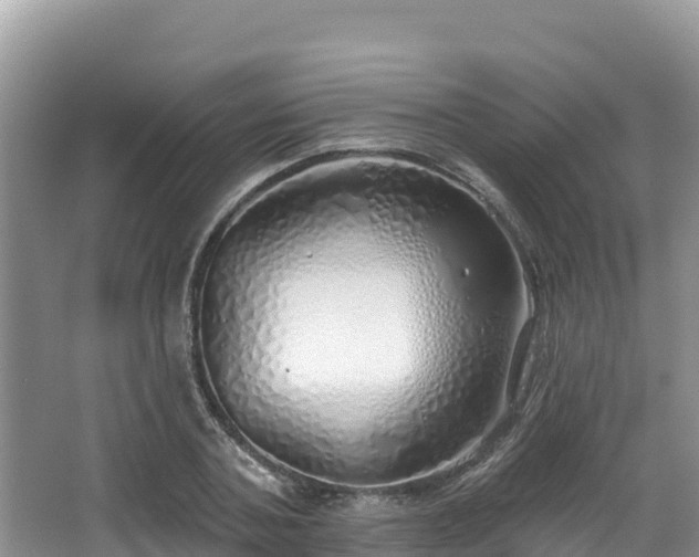 X0000067940787200604171459