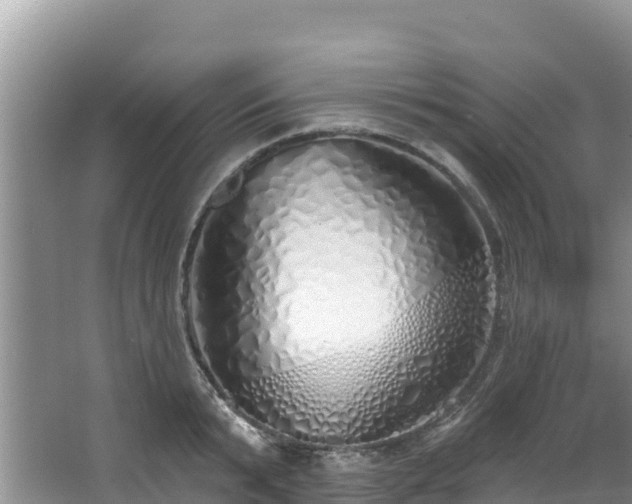 X0000067940799200604171459