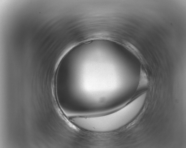 X0000067940812200604171459