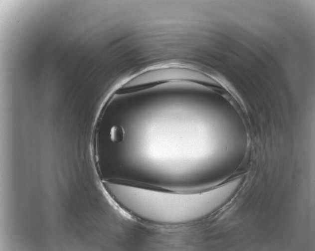 X0000067940813200604171459