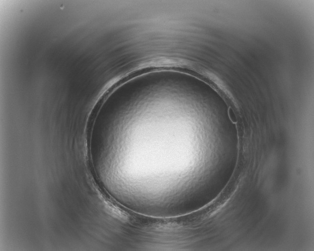X0000067940837200604171458