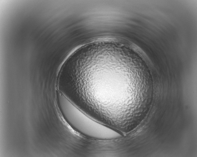 X0000067940852200604171459