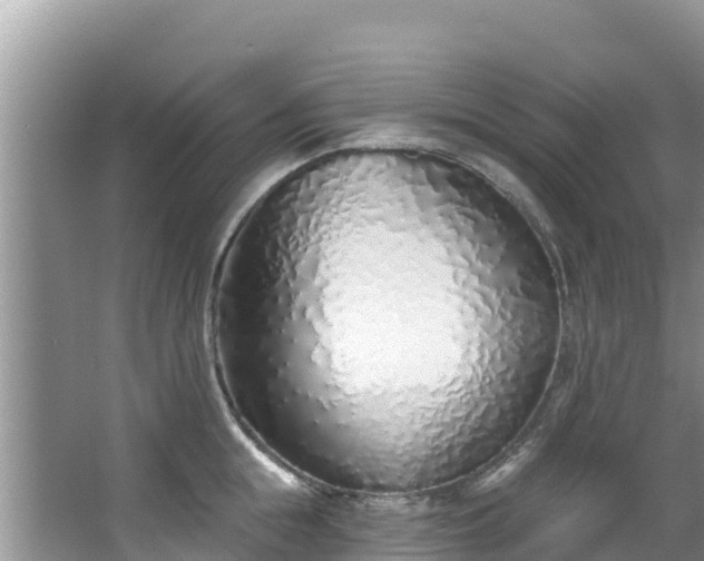 X0000067940855200604171459