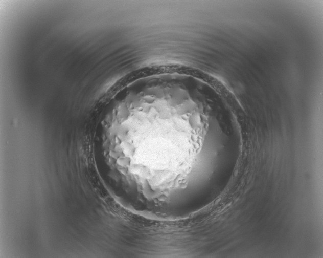 X0000067940871200604171458