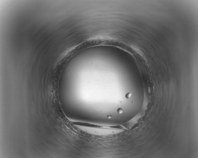 X0000067940872200604171458