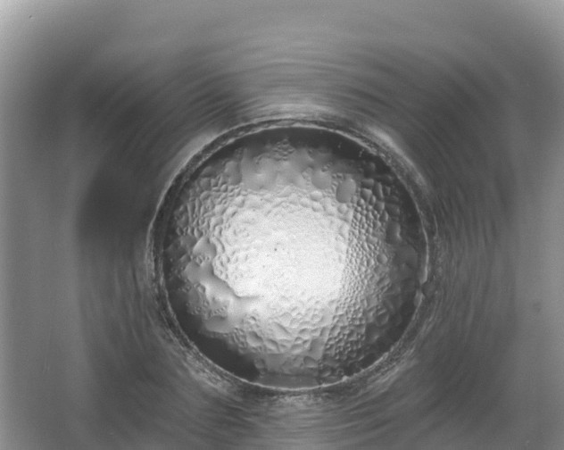 X0000067940883200604171458
