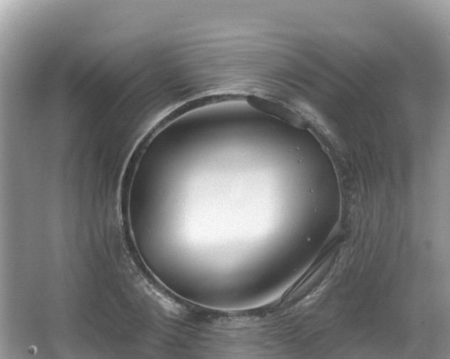 X0000067940884200604171458
