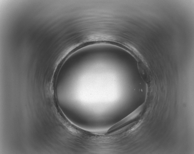 X0000067940885200604171458