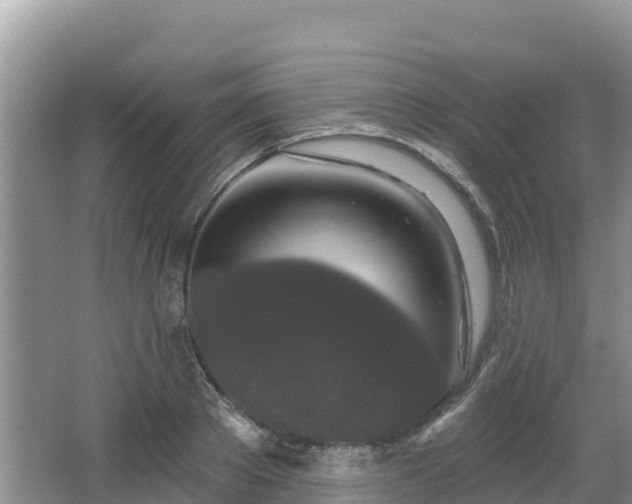 X0000067940889200604171458