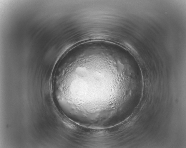 X0000067940891200604171457