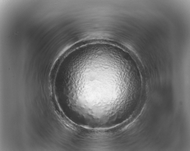 X0000067940925200604171457