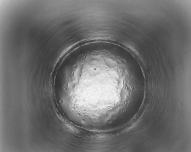 X0000067940933200604171457