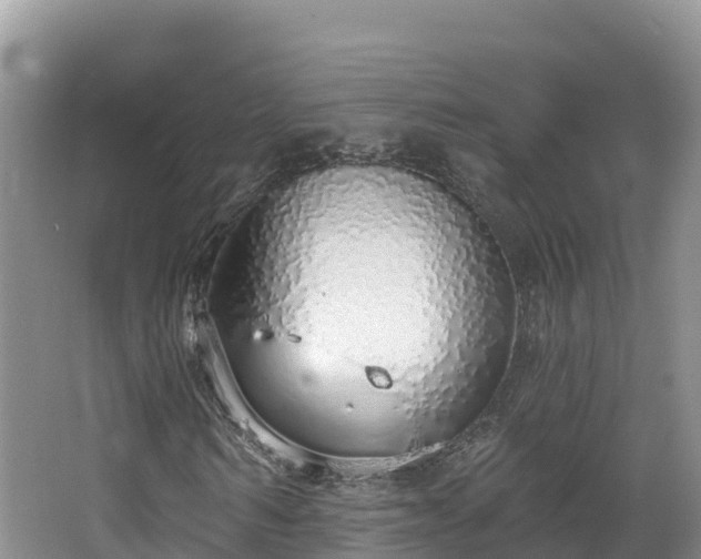 X0000067940962200604171456