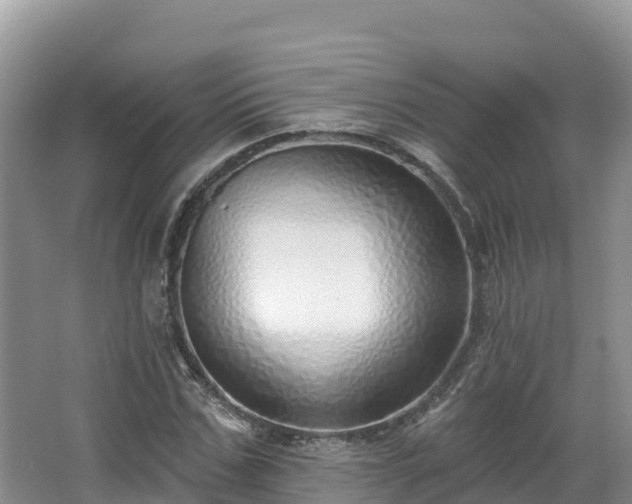 X0000067940971200604171456
