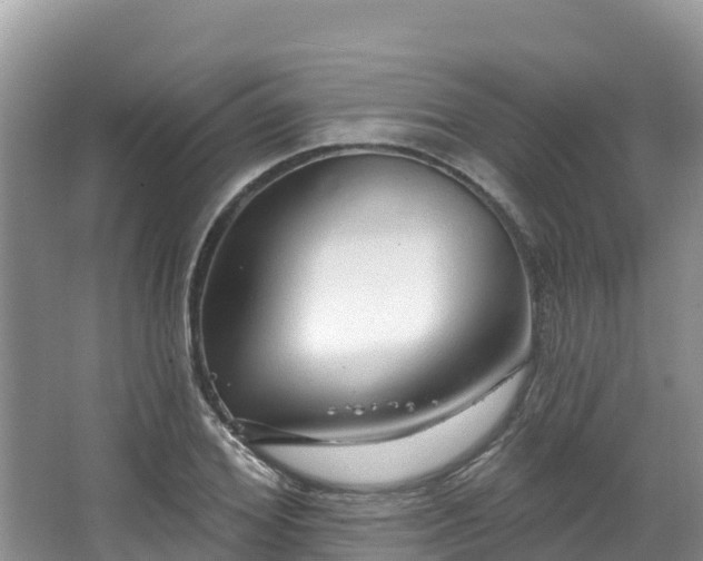 X0000067940980200604171456