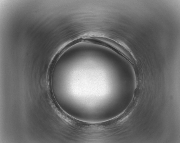 X0000067940981200604171456