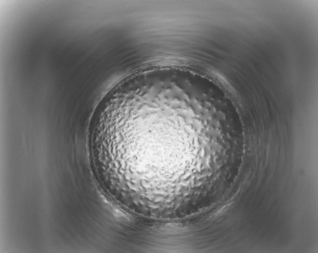 X0000067940986200604171456