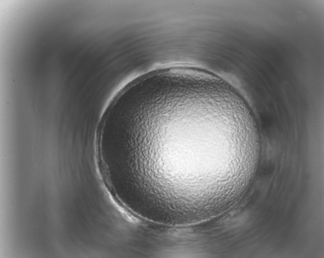 X0000067941006200604171456
